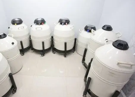 mve液氮罐 mve液氮罐