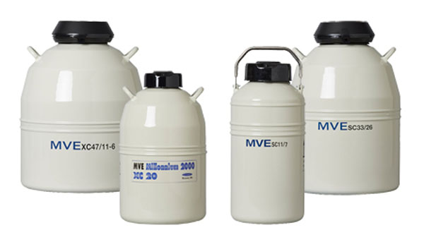 mve液氮罐 mve液氮罐